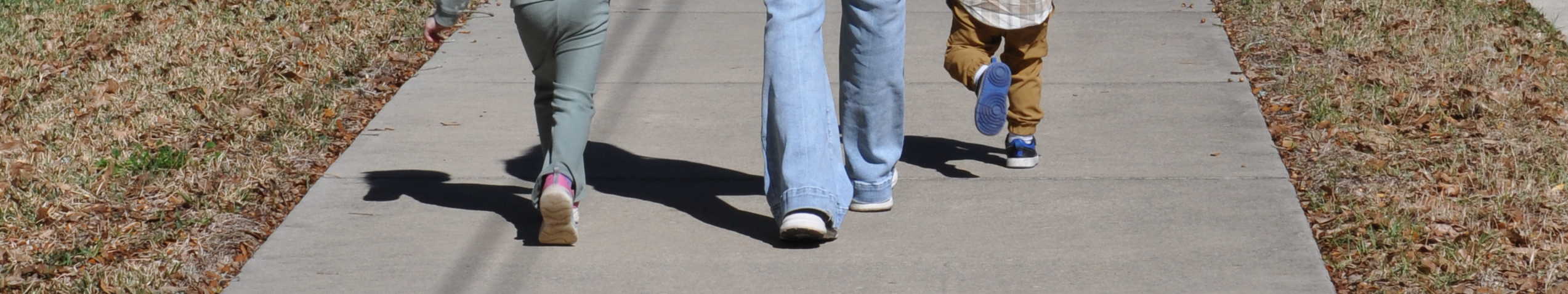 Pineview Elementary School Safe Route to School Sidewalk Project